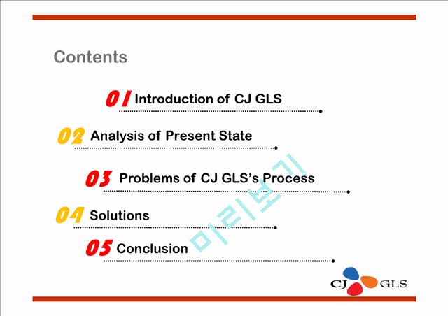 CJ GLS,Global Operations Strategy   (2 )